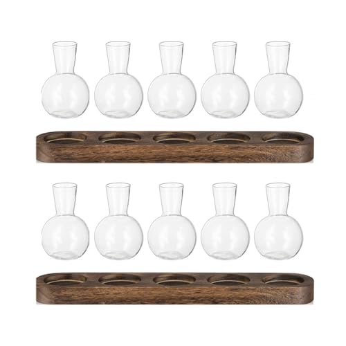 Mocturnity 2X Pflanzenterrarium-Vermehrungsstation, Glas-Pflanzgefäß, Blumenzwiebelvase mit Holztablett, Moderne Knospenvasen für Wohnzimmer und Büro Mocturnity 2X Pflanzenterrarium-Vermehrungsstation, Glas-Pflanzgefäß, Blumenzwiebelvase mit Holztablett, Moderne Knospenvasen für Wohnzimmer und Büro von Mocturnity