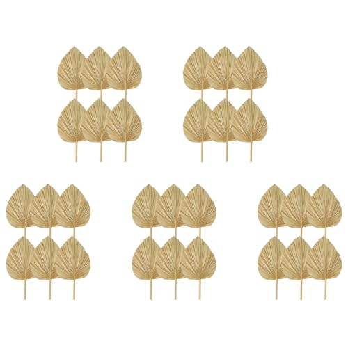 Mocturnity 30 Stück Getrocknete Palmenblätter, Natürliche Getrocknete Palmenfächer, Großer Palmenspeer für Boho-Hochzeitsdekoration, Tropische Palmenblätter-Dekoration S von Mocturnity