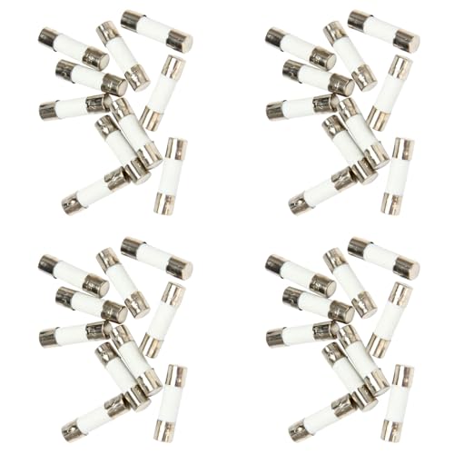 Mocturnity 40 Stück 250 V 0,5 A 500 mA Rohre mit 5 mm x 20 mm Keramiksicherungen schnell verbrannt Mocturnity 40 Stück 250 V 0,5 A 500 mA Rohre mit 5 mm x 20 mm Keramiksicherungen schnell verbrannt von Mocturnity