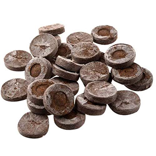 Mocturnity 80 StüCk Torfpellets SäPfropfen Baumschulblock Pflanzgefäß Tablett GartengeräTe 30Mm von Mocturnity