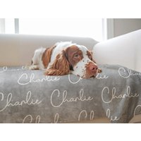 Benutzerdefinierte Haustierdecke Mit Haustiername Personalisierte Hundedecke Fertigen Sie Hundedecken Besonders An Benutzerdefinierte Haustierdecke Mit Haustiername Personalisierte Hundedecke Fertigen Sie Hundedecken Besonders An von ModPawsUS