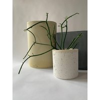 Nachhaltige Hanfbeton-Zylindertopf Nachhaltige Hanfbeton-Zylindertopf von ModPotShop