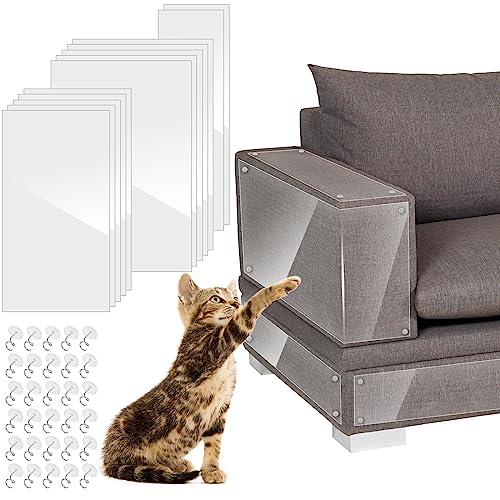 modacraft 12 Stück Katzen Kratzschutz Selbstklebend mit 60 Schrauben für Sofa Wand Tür und Möbel, Transparent Kratzschutz Möbelschutz Anti Kratz Folie für Katzen Kratzfolie Cat Couch Protector modacraft 12 Stück Katzen Kratzschutz Selbstklebend mit 60 Schrauben für Sofa Wand Tür und Möbel, Transparent Kratzschutz Möbelschutz Anti Kratz Folie für Katzen Kratzfolie Cat Couch Protector von modacraft
