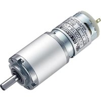 [NEUWERTIG] Modelcraft Getriebemotor 12 V Ig320516 41 C01 516:1 Silber Modellbau Motor B-Ware von Modelcraft