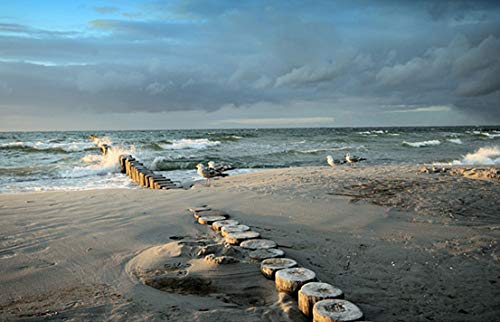 Modern Picture Fotodruck Kunstdruck Ostsee Meer Wasser Wellenbrecher Strand 70 x 50 cm von Modern Picture