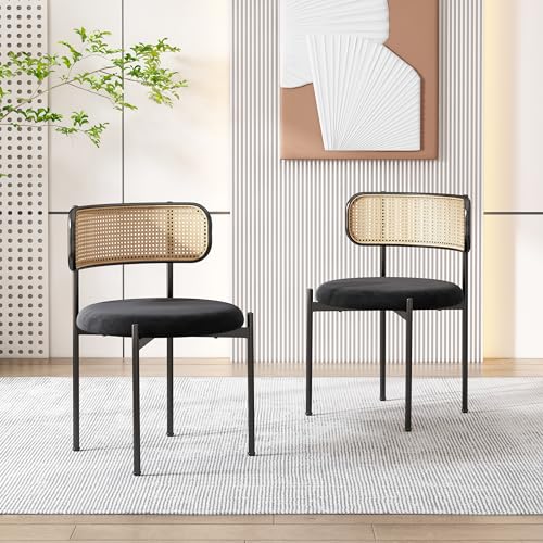 Esszimmerstühle im 2er-Set, moderner Freizeitstuhl mit Rattan-Rückenlehne Samtkissen,stabilen Metallbeinen und rundem Sitzkissen, ideal für Wohnzimmer und Schlafzimmer, Schwarz von ModernLuxe