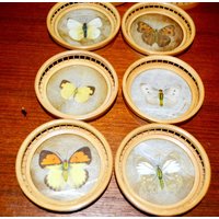 Vintage Untersetzer Holz /Kunststoff 70Er Jahre Space Age Retro Mid Century Shabby Chic Landhausstil von ModernVintageProjekt