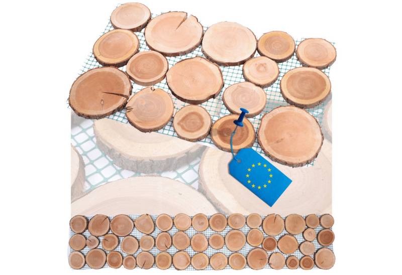 Modo24 Gartensteg Gartenweg aus Holz, Gehweg Holzweg Trittplatten Holzscheiben-Weg, 1-St., Gartenplatten Bodenplatten Holzpfad Gartenweg Nachhaltig FSC Holz von Modo24