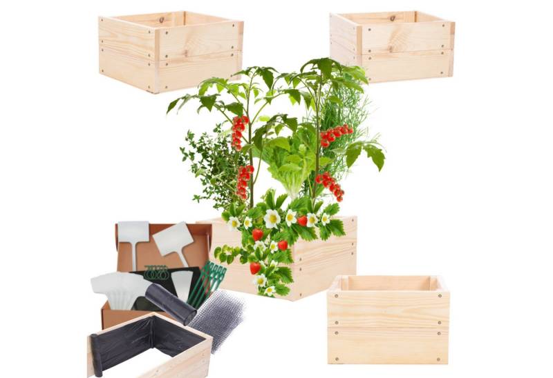 Modo24 Hochbeet ZP06 Kräuterbeet Gartenbeet Holz Pflanzbeet bis Breite 237 cm, Kräuter Gemüsebeet Pflanzkasten 4 Farben Hühe 18 cm, FSC Holz von Modo24