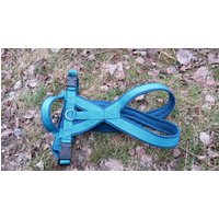 Modog Brustgeschirr Doppel Xx Softshell Petrol Modog Brustgeschirr Doppel Xx Softshell Petrol von ModogShop