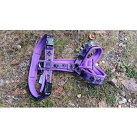 Modog Brustgeschirr Pfoten Neopren Modog Brustgeschirr Pfoten Neopren von ModogShop