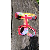 Modog Brustgeschirr Splash Bunt Modog Brustgeschirr Splash Bunt von ModogShop