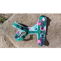 Modog Brustgeschirr Wassermelone Modog Brustgeschirr Wassermelone von ModogShop