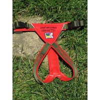 Modog Fun Geschirr Dein Eigenes Logo Modog Fun Geschirr Dein Eigenes Logo von ModogShop