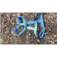 Modog Set Brustgeschirr Und Leine Swirls Grün Blau Modog Set Brustgeschirr Und Leine Swirls Grün Blau von ModogShop