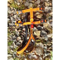 Modog Sicherheitsgeschirr Reflexgurtband Polsterung Softshell von ModogShop