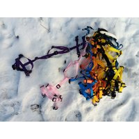 Sicherheitsgeschirr Verstellbar Mini von ModogShop