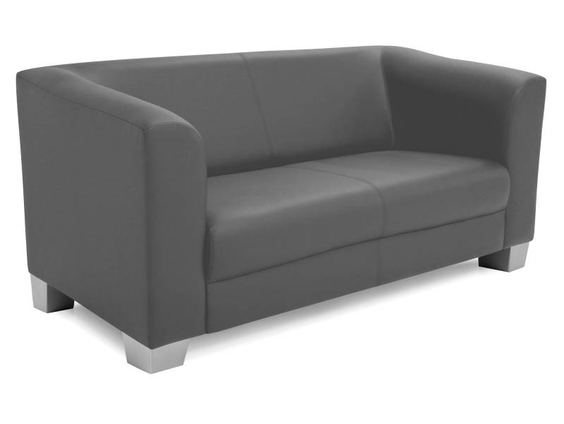 CHICAGO 2-Sitzer Sofa, Material Kunstleder von Möbel-Eins