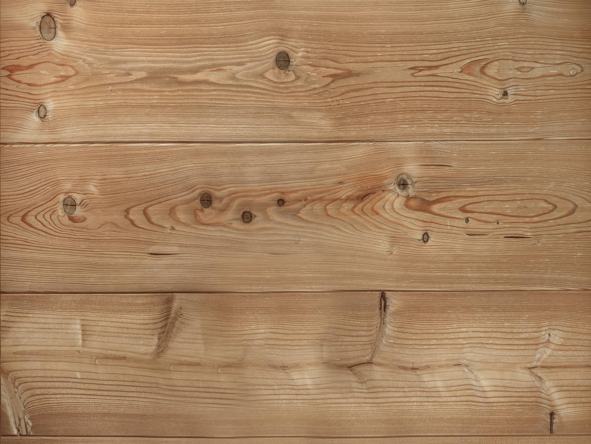 Nut- und Federbretter, THERMO-Lärche gehobelt, Material Massivholz, verschiedene Längen erhältlich Nut- und Federbretter, THERMO-Lärche gehobelt, Material Massivholz, verschiedene Längen erhältlich von Möbel-Eins