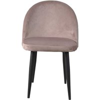 Design Esszimmerstühle in Altrosa Samt Metallgestell (2er Set) von Möbel Exclusive