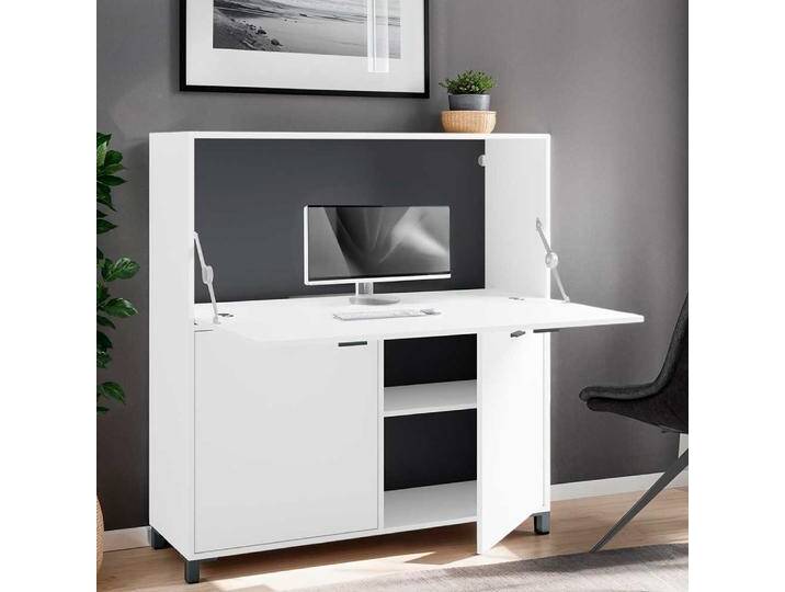 Sekretärschrank Sekretär mit Drehtüren in modernem Design von Möbel-Exclusive