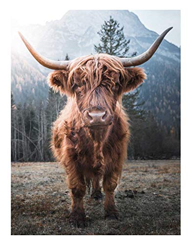 Möbel Jack Keilrahmenbild Wandbild Dekobild Kunstdruck auf Leinwand | Mehrfarbig | Büffel | 46x61 cm von Möbel Jack