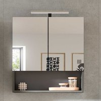 Moderner Bad Spiegelschrank Korpus Rauchsilber Ablage von Möbel4Life