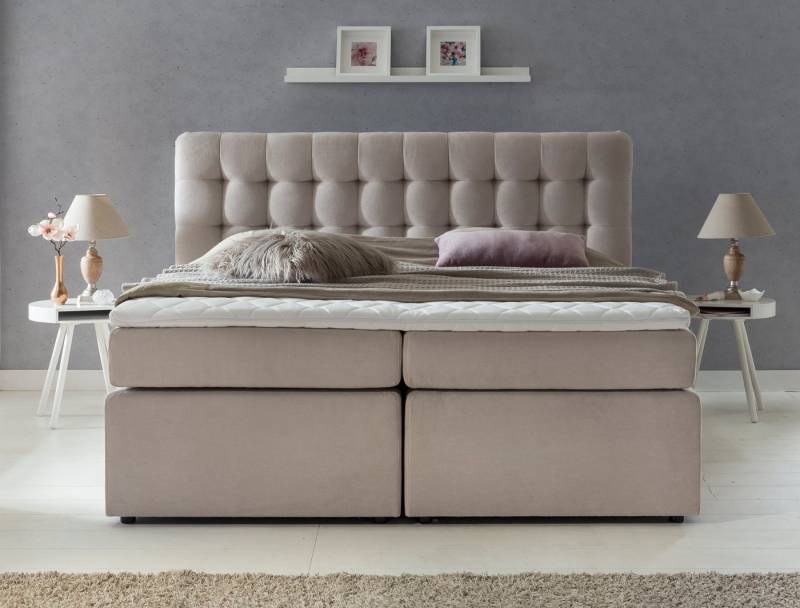 Möbelfreude Boxspringbett Boxspringbett Perris 160x200 cm Beige Uni H3, 160x200 cm Beige Uni Härtegrad H3 I mit hochwertigen Tonnen-Taschenfed von Möbelfreude