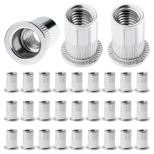 Moendergo 100PCS Nietmutter M6 Edelstahl Nietmutter Gewindeeinsatz Nutsert Nietmutter Flachkopf Gewinde Nietmutter Kappe (M6) von Moendergo