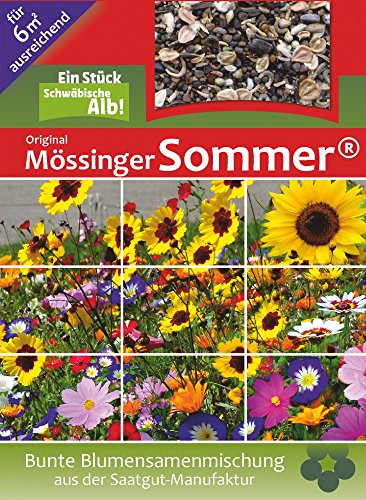 Blumenmischung Original Mössinger Sommer für 6 m² von Saatgut-Manufaktur von Mössinger Sommer