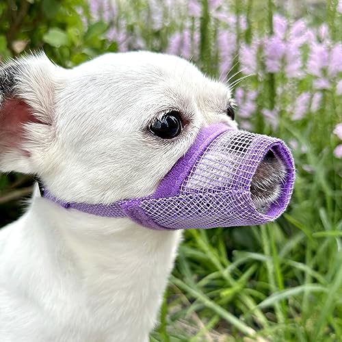 MoiiLavin Soft Air Mesh Dog Maulkorb, weiches Nylon Maulkorb, Anti Beißen, Bellen, Kauen, atmungsaktiv, trinkbar, verstellbare Schlaufe, Haustiere Maulkorb für kleine, mittelgroße und große Hunde von MoiiLavin