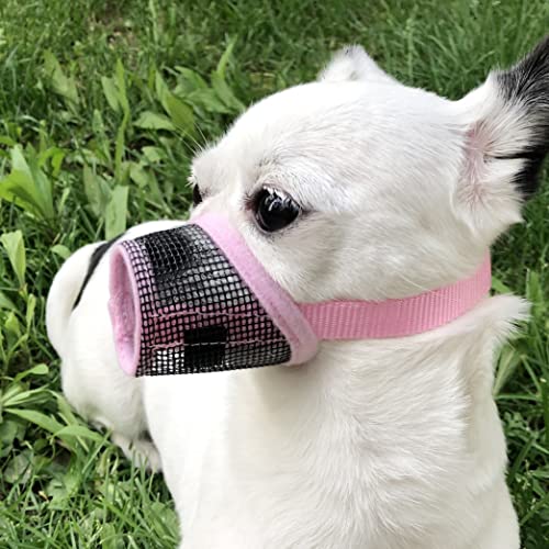 Pet Supply Quick Fit Hund Maulkorb mit verstellbaren Trägern, schwarzes Nylon, XXS XS S M L XL XXL (Rosa, XS) von MoiiLavin
