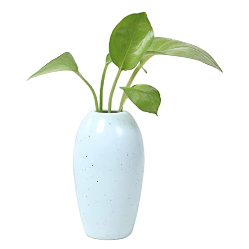 Moiyoudis Japanische Keramik, kleine Vase, Wohnzimmer, Grün, Blumengefäß, Restaurant, Schlafzimmer, Zuhause, Vase, dekorative Ornamente, Blumenvase (blau) von Moiyoudis