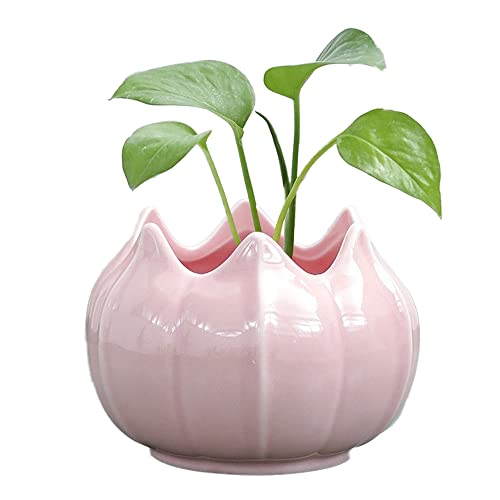 Moiyoudis Kleine Keramikvase, interessant, grün, Blumentopf, Wohnzimmer, dekoratives Ornament, buntes Blumenarrangement, Vase, getrocknete Blumenvase (A-Pink) von Moiyoudis