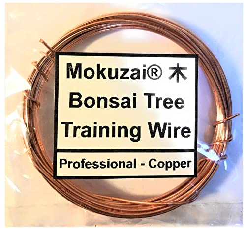 Bonsai-Baum-Styling- und Trainingsdraht, geglüht, blankes Kupfer, 1 mm, 400 cm von Mokuzai