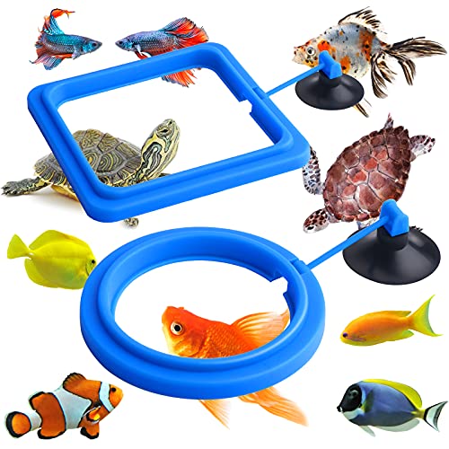 Molain Fisch Futterring, 2 Stück, Fisch Futterspender für Aquarium, Fischschildkröte, Zubehör für Guppy, Bettas, Goldfisch, Schildkröte (Blau) von Molain