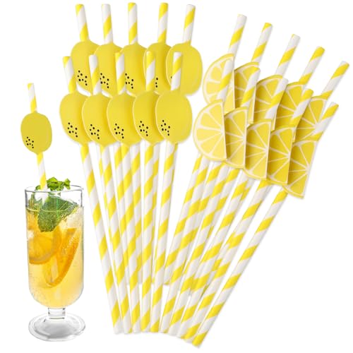 Molain 20Stück 3D Frucht Papier Strohhalme, Cocktail Strohhalme, Bunte Papier Trinkhalme Strohhalme Papier Strohhalme für Getränke für Bar Party Geburtstag Hochzeit Kalte Getränke Saft von Molain