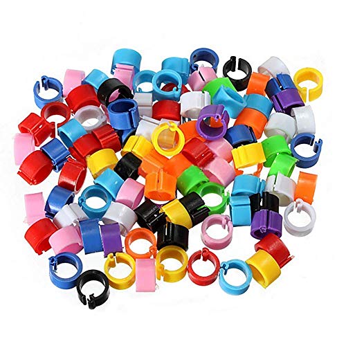 Moligin Vögel Fuß Ringe 100 Stück 8 Mm Bunte Kunststoff Bezeichnung Leg Ring Kennzeichnung Hühnerbein Ringe Für Tauben Chicks Bantam Und Lovebirds von Moligin