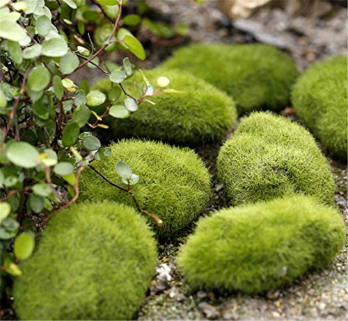 Molinter Mini Gartendeko Moos Stein Pflanze Puppe Micro Landschaft Ornament aus Harz für Puppenhaus Puppenhausmöbel Gartenmöbel Deko Garten 5pcs/Set (7 * 10CM) von Molinter