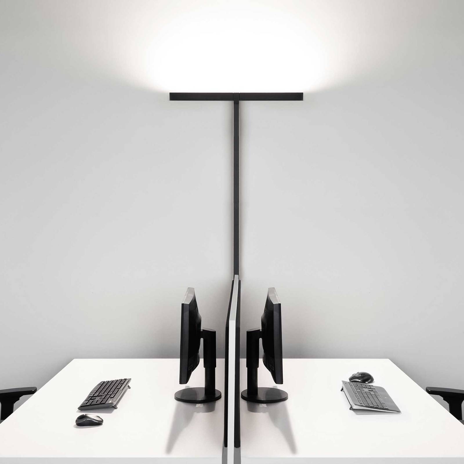 Molto Luce Concept Double F Sensor schwarz von Molto Luce