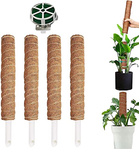 4 Stück Moosstab, 30cm Pflanzstab Kokos Moosstab, Monstera Rankhilfe, für Pflanzenklettern, Hausgarten von Molyorch
