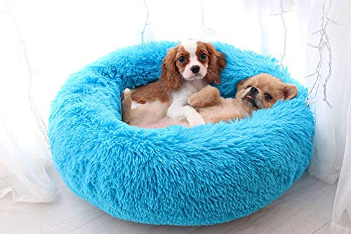 Warmes, beruhigendes Haustierbett für Hunde und Katzen, Haustierbett, für Katzen und Hunde, Größe M, 60 x 60 x 20 cm, Blau von Monba