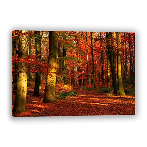 Leinwand Herbstbilder . Rotahorn-Wald-Malerei. Moderne Dekoration für Wohnzimmer Schlafzimmer. Naturlandschaftsbilder. Auf Holzrahmen gespannt 80x120cm (31.5x47.3in) Gerahmt von Mondi Art Store