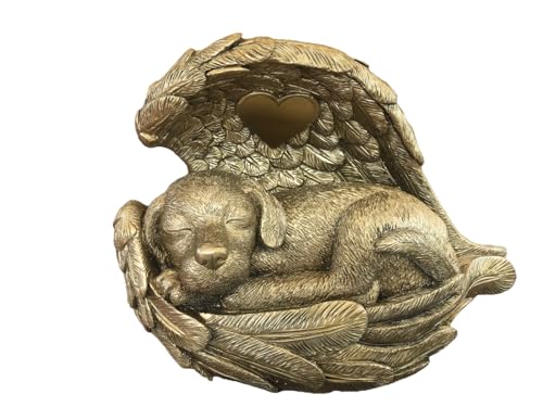 Monello Hundeurne Hund in Engelsflügel Giant XXL für Hunde bis ca. 55 kg individuelle Gravur auf Wunsch (Gold) von Monello