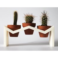 Zz Übertopf/Indoor Cactae Sukkulenten Pflanzen Garten Pflanzengeschenk Pflanzenständer Terrakotta Topf Pflanzentopf Zz Übertopf/Indoor Cactae Sukkulenten Pflanzen Garten Pflanzengeschenk Pflanzenständer Terrakotta Topf Pflanzentopf von MonetteDesignCo