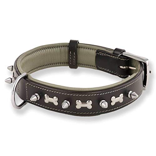 Monkimau Hundehalsband - Halsband für Hunde aus Leder mit Nieten gepolstert schwarz (S: 25mm x 45cm) von Monkimau