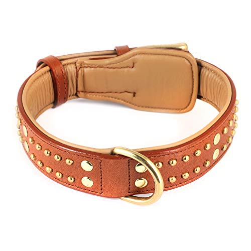 Monkimau Hundehalsband - Halsband für Hunde aus Leder mit Nieten gepolstert verstellbar (M: 35mm x 55cm) von MONKIMAU