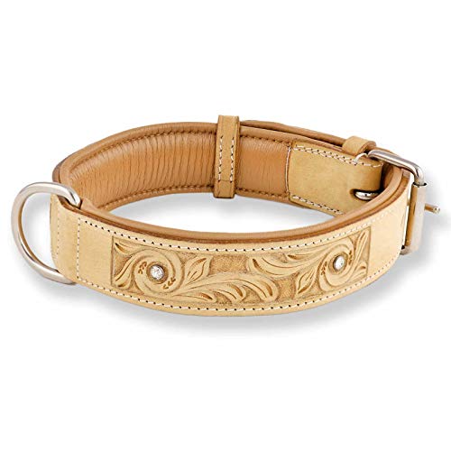 Monkimau Hundehalsband aus Leder - Halsband für Hunde mit Strass Kristall in Beige (XS-S: 25mm x 40cm) von Monkimau