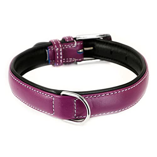 Monkimau Hundehalsband aus Leder Halsband für Hunde Lederhalsband weich gepolstert (M, lila) von Monkimau