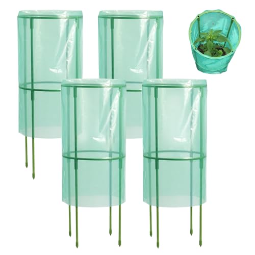 Monozoz Cloches for Plants – Garden Seedling Protectors Cloches | Frostschutz Wiederverwendbar Tierschutzkäfig für Heidelbeersträucher Gemüse Früchte Monozoz Cloches for Plants – Garden Seedling Protectors Cloches | Frostschutz Wiederverwendbar Tierschutzkäfig für Heidelbeersträucher Gemüse Früchte von Monozoz